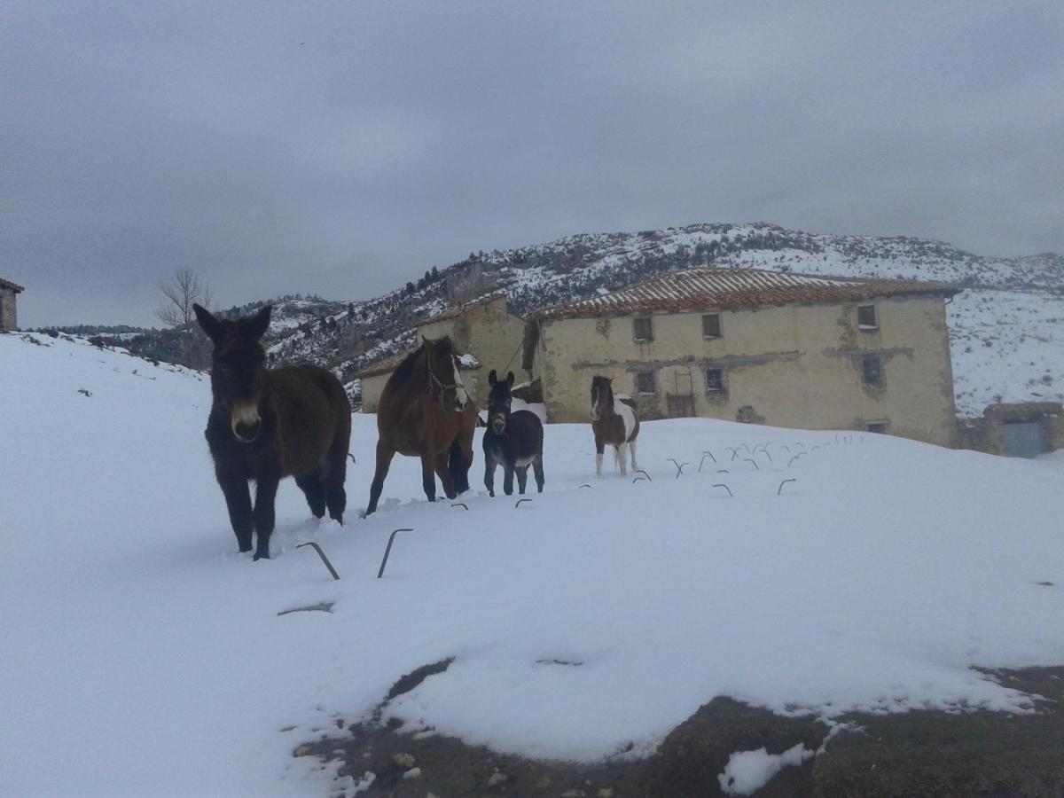 Casa Rural Chulilla Villarroya de los Pinares Экстерьер фото
